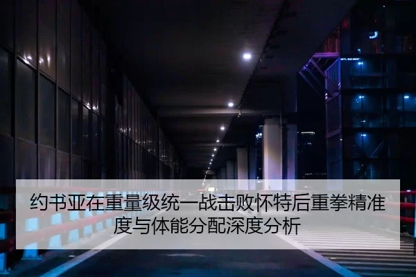 约书亚在重量级统一战击败怀特后重拳精准度与体能分配深度分析