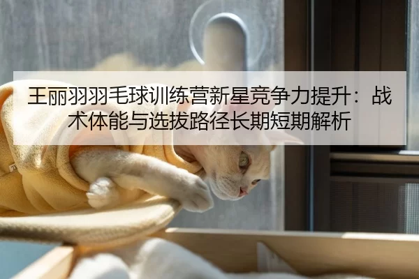 王丽羽羽毛球训练营新星竞争力提升：战术体能与选拔路径长期短期解析