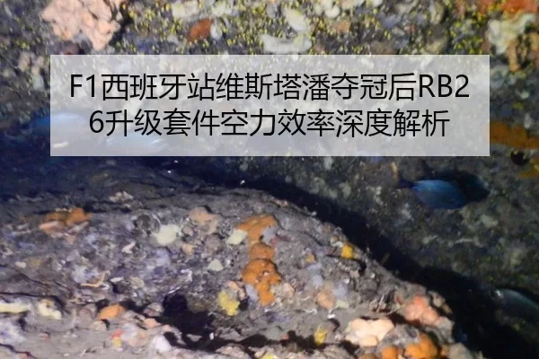 F1西班牙站维斯塔潘夺冠后RB26升级套件空力效率深度解析