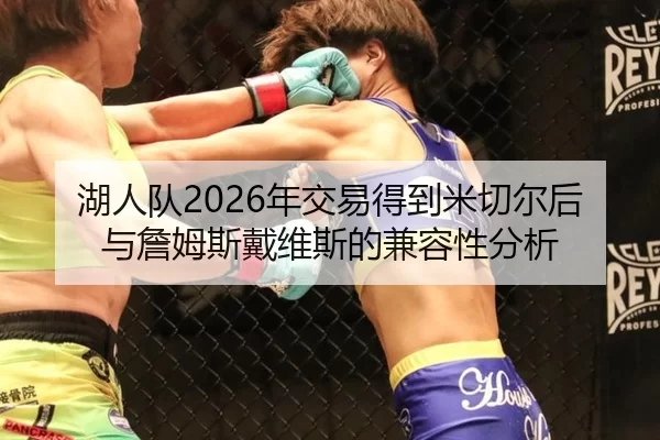 湖人队2026年交易得到米切尔后与詹姆斯戴维斯的兼容性分析