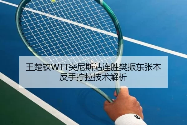 王楚钦WTT突尼斯站连胜樊振东张本 反手拧拉技术解析
